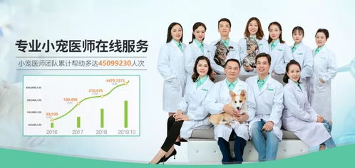 疫情期間寵物嘔吐、拉稀、血便怎么辦？4大科學防護指南助力在家養寵