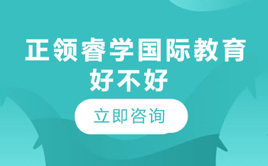 北京正領(lǐng)睿學(xué)國際教育 以創(chuàng)意策劃服務(wù)賦能未來教育
